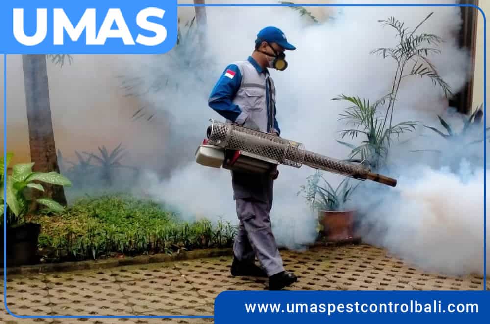 Umas pest control bali with fogging service
